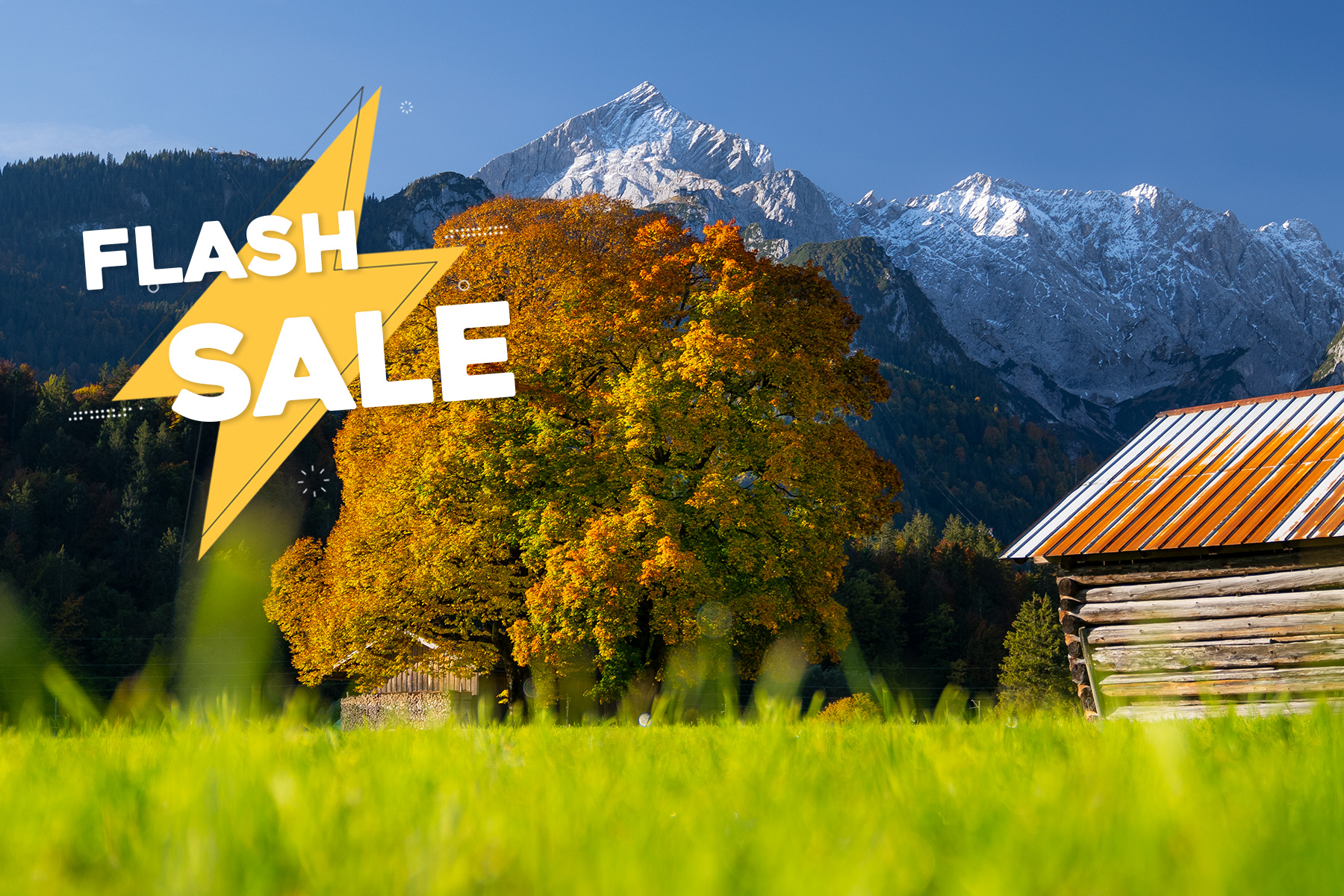 web_flash_sale.jpg