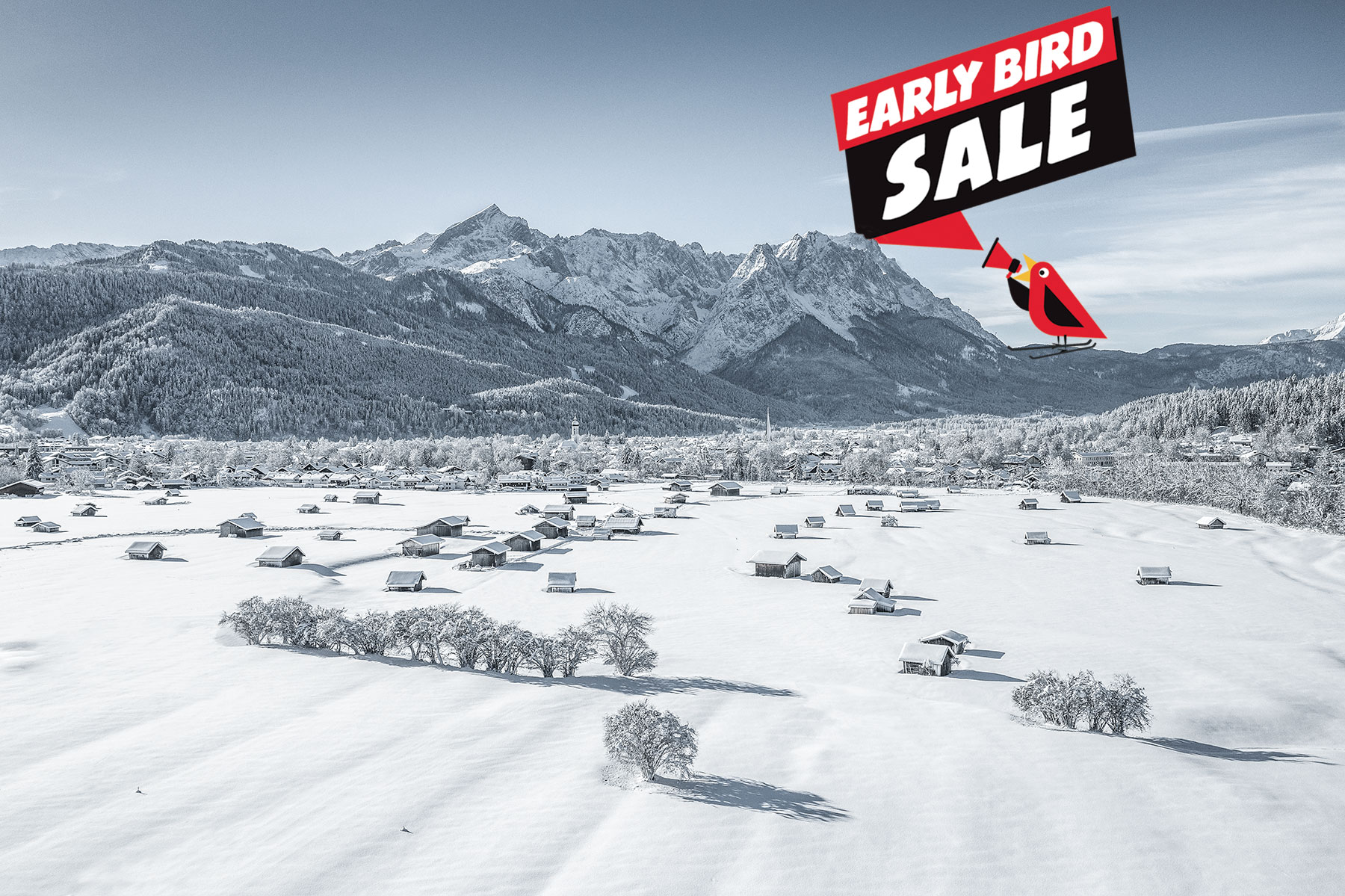 earlybird_sale.jpg