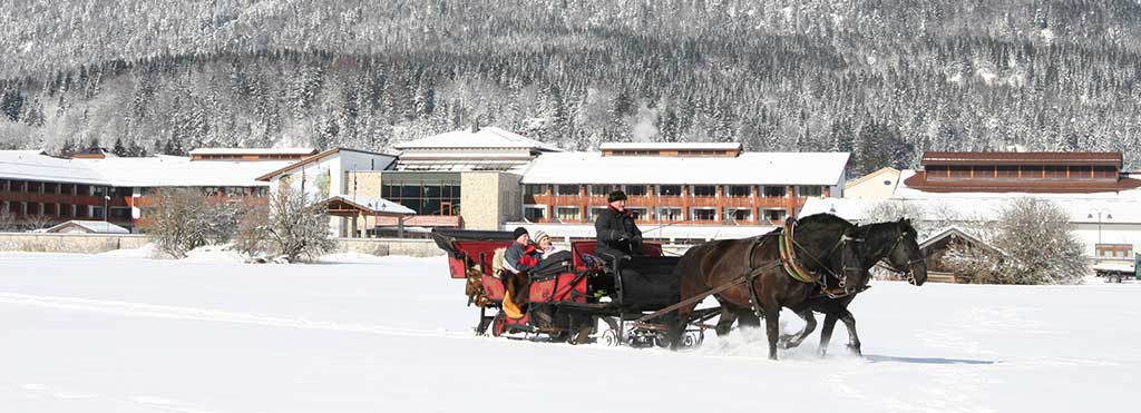 Horse_and_Carriage_WINTER.jpg
