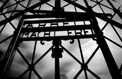 dachau5.jpg