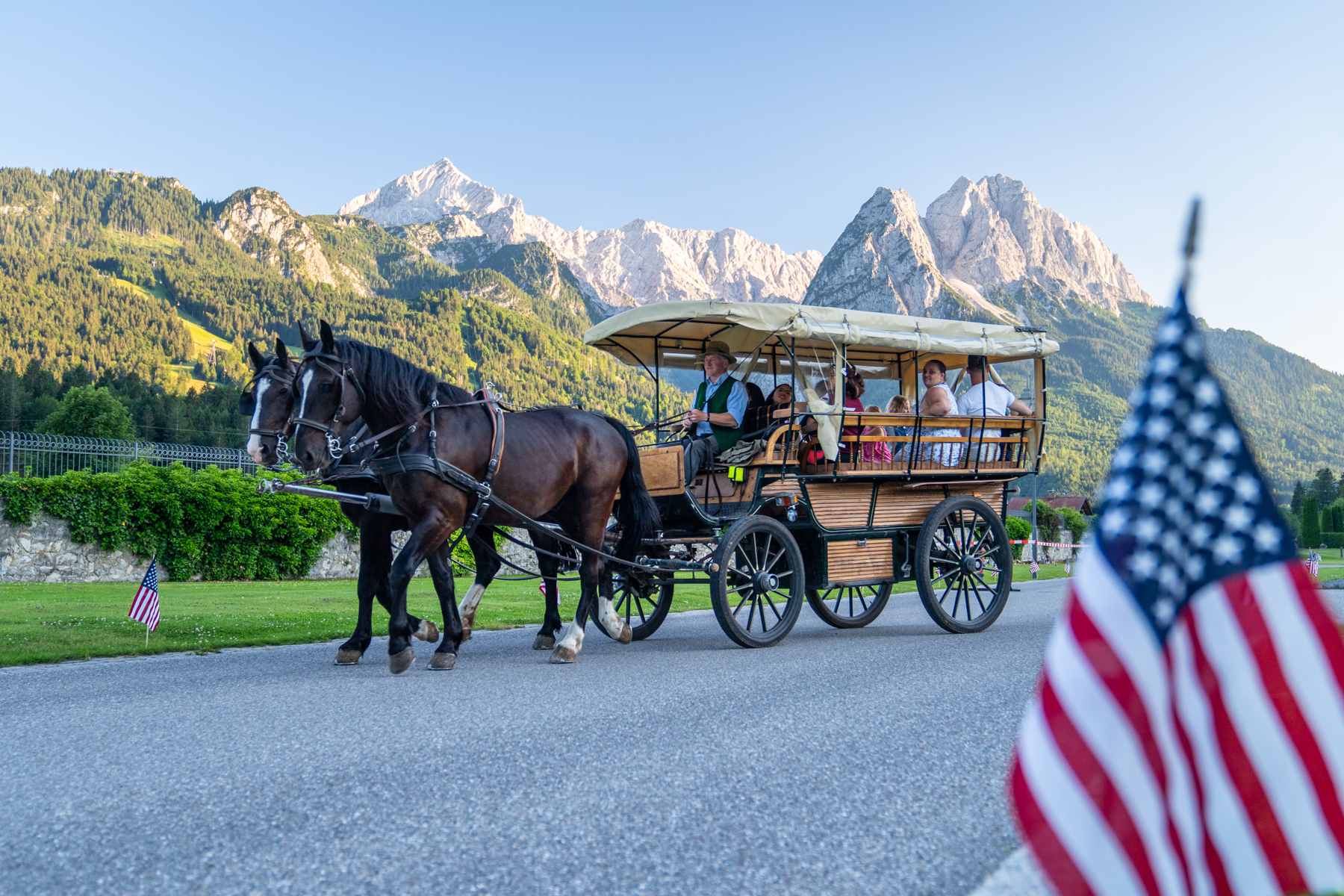 Horse and Carriage