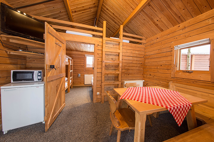 Dog Friendly Cabins Edelweiss Lodge And Resort