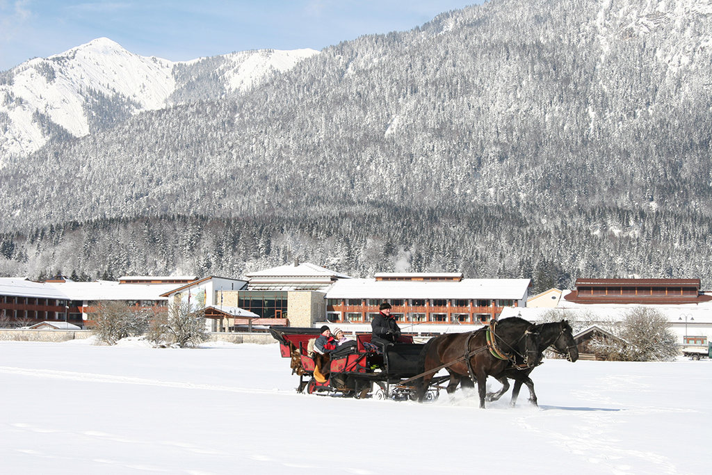 Horse and Carriage in front of ELR
