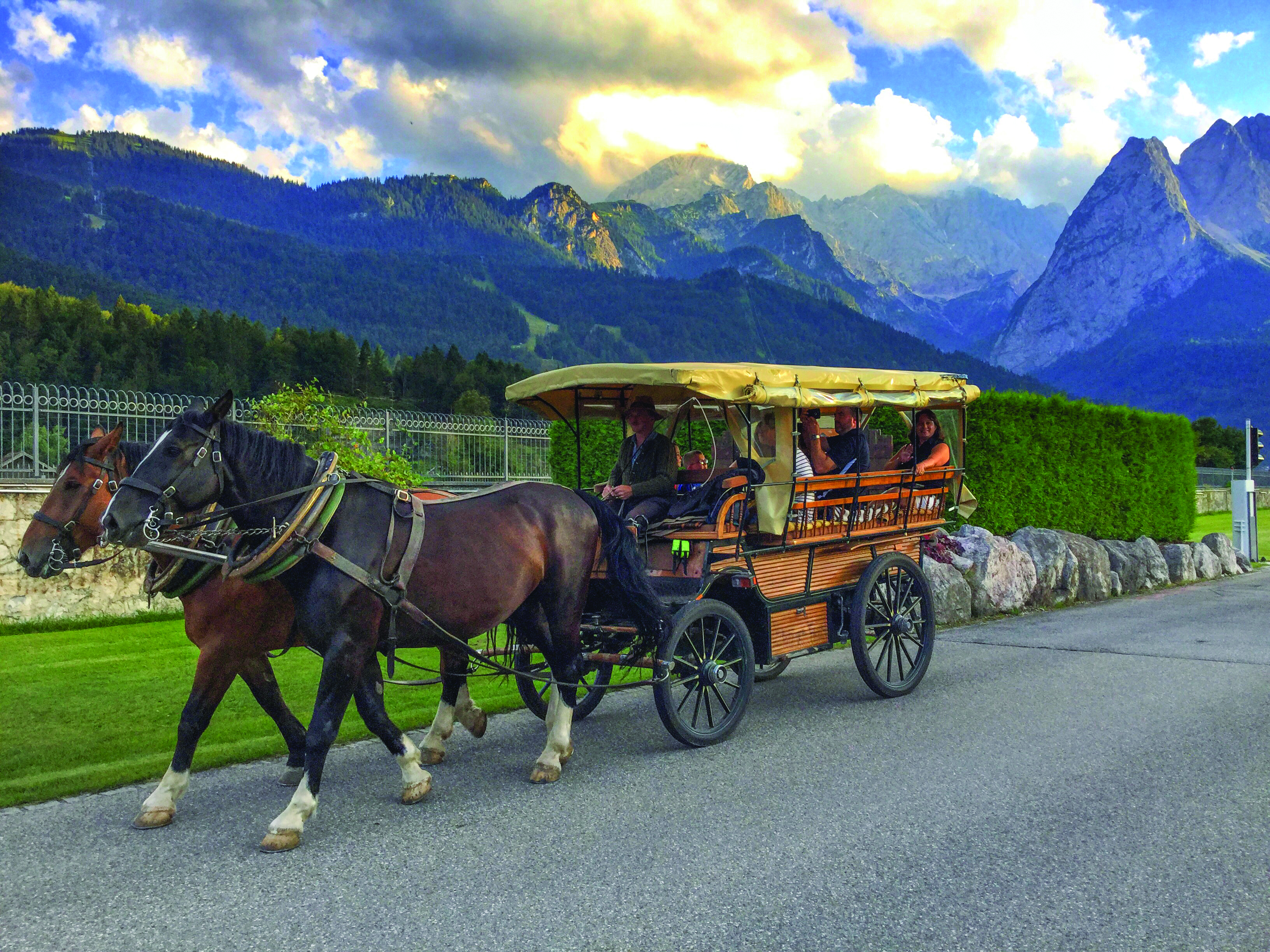 Horse and Carriage Ride