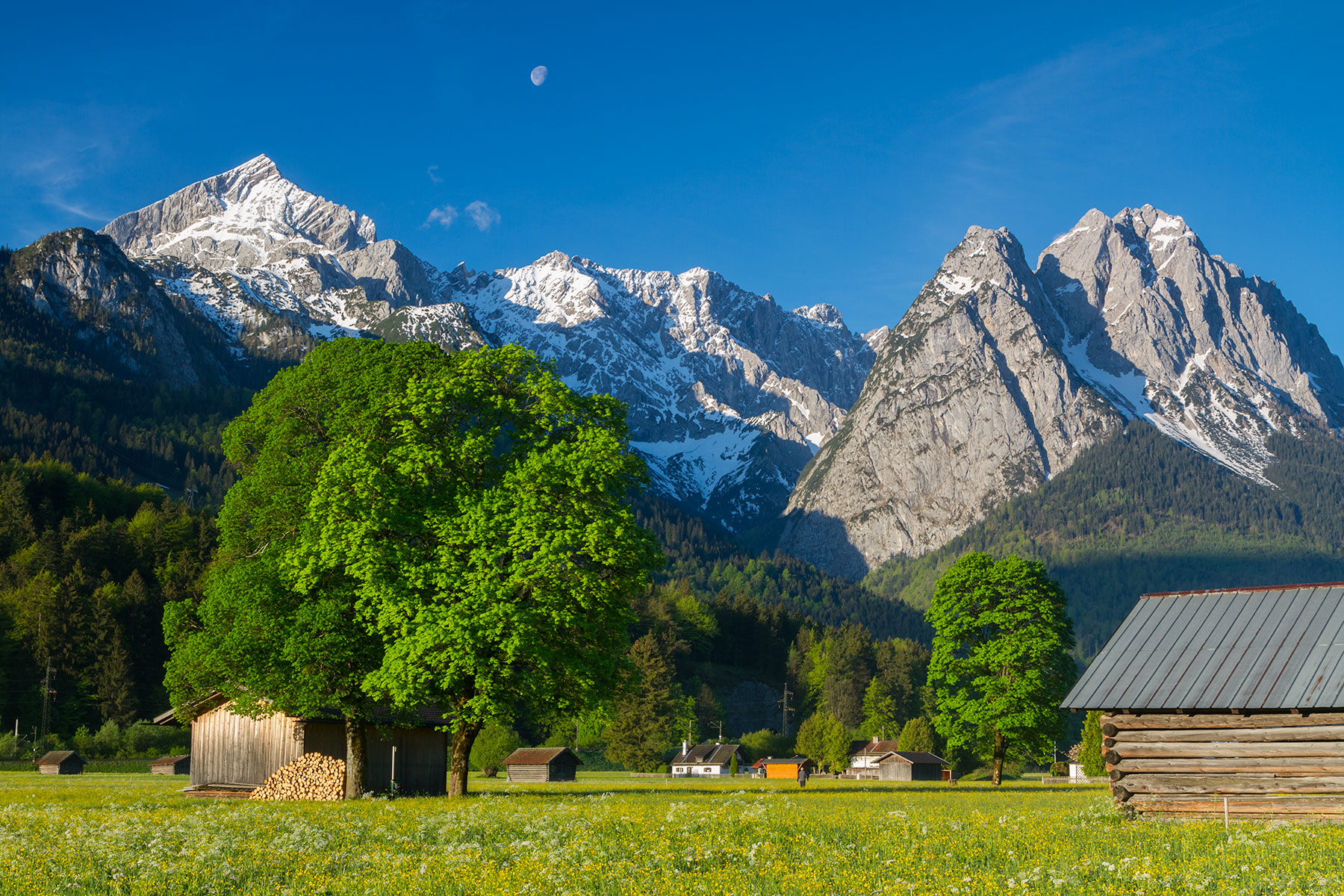 Bavarian Alps in Spring