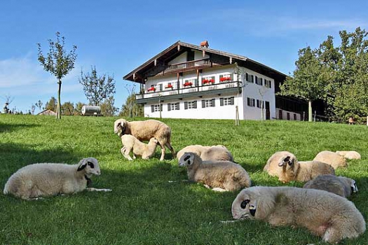 elr_attractions_OpenAirMuseum