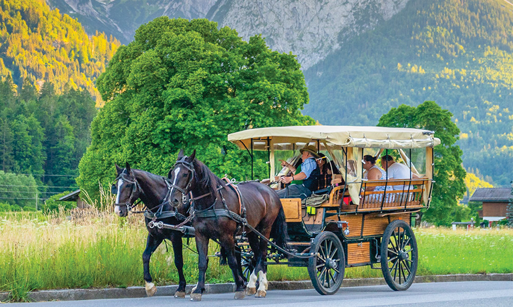HorseandCarriage Photo